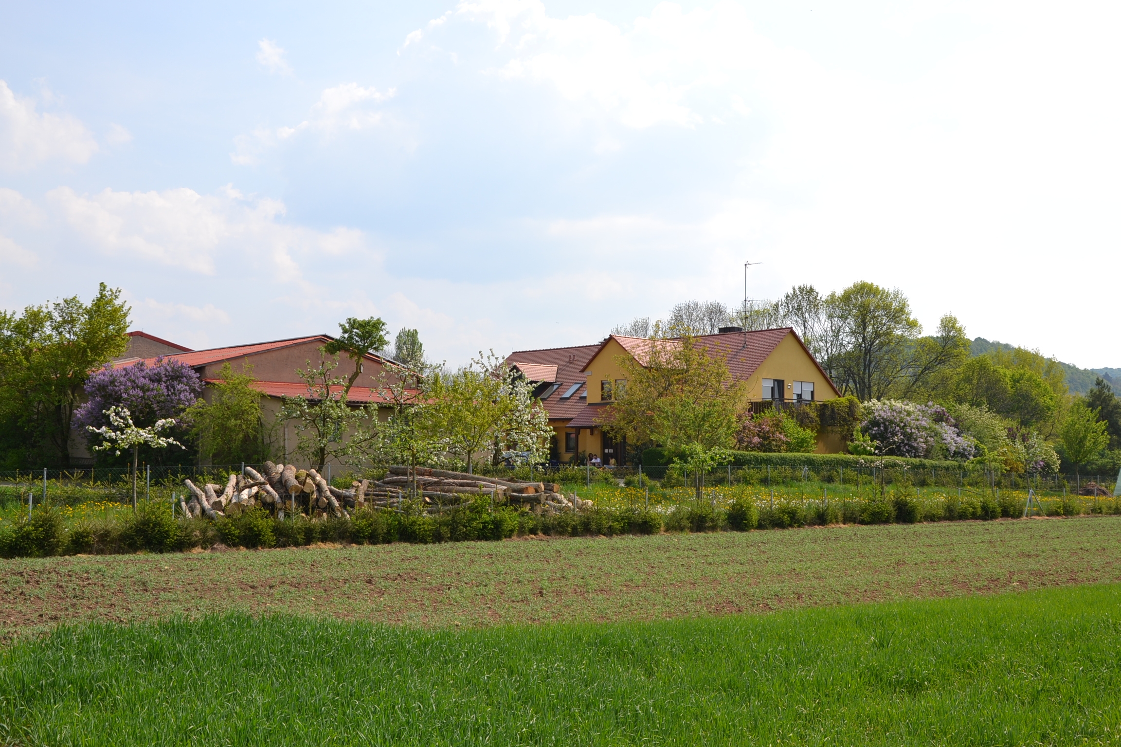 Bienenhof Keil – Foto