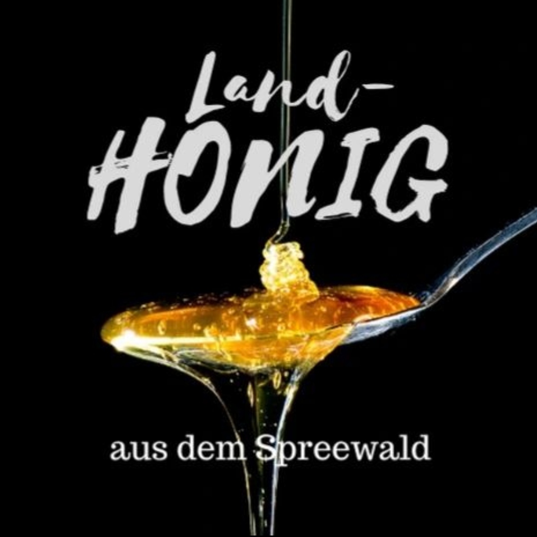 Landhonig aus dem Spreewald – Foto